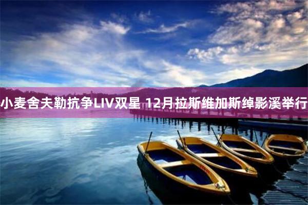 小麦舍夫勒抗争LIV双星 12月拉斯维加斯绰影溪举行