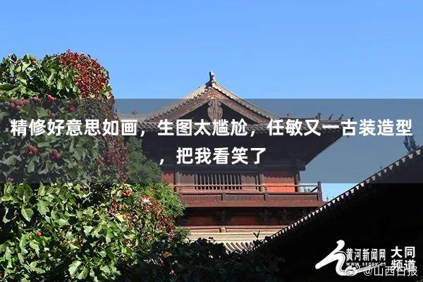 精修好意思如画，生图太尴尬，任敏又一古装造型，把我看笑了