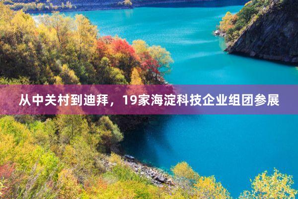 从中关村到迪拜，19家海淀科技企业组团参展