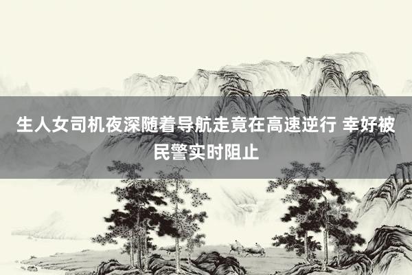 生人女司机夜深随着导航走竟在高速逆行 幸好被民警实时阻止
