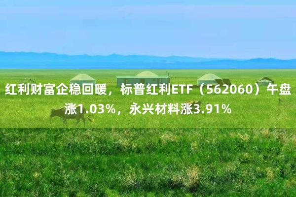红利财富企稳回暖，标普红利ETF（562060）午盘涨1.03%，永兴材料涨3.91%