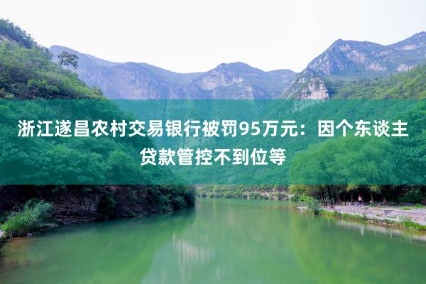 浙江遂昌农村交易银行被罚95万元：因个东谈主贷款管控不到位等
