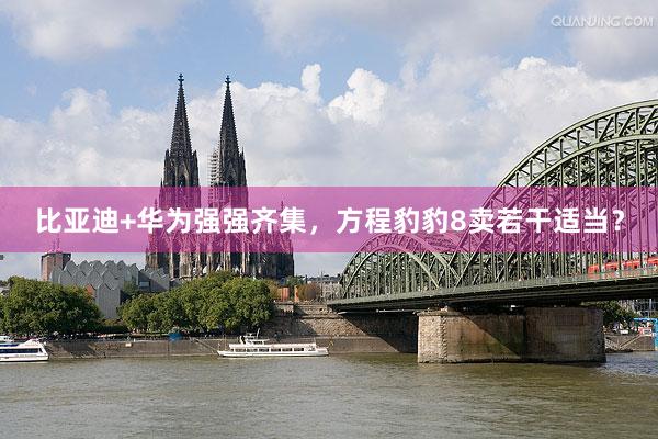 比亚迪+华为强强齐集，方程豹豹8卖若干适当？